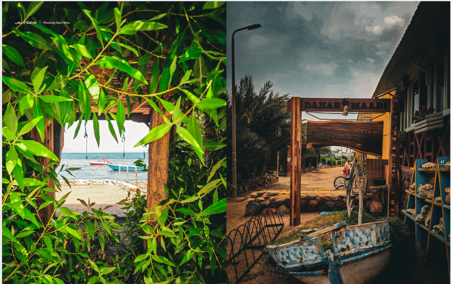 Egypt Book | كتاب مصر