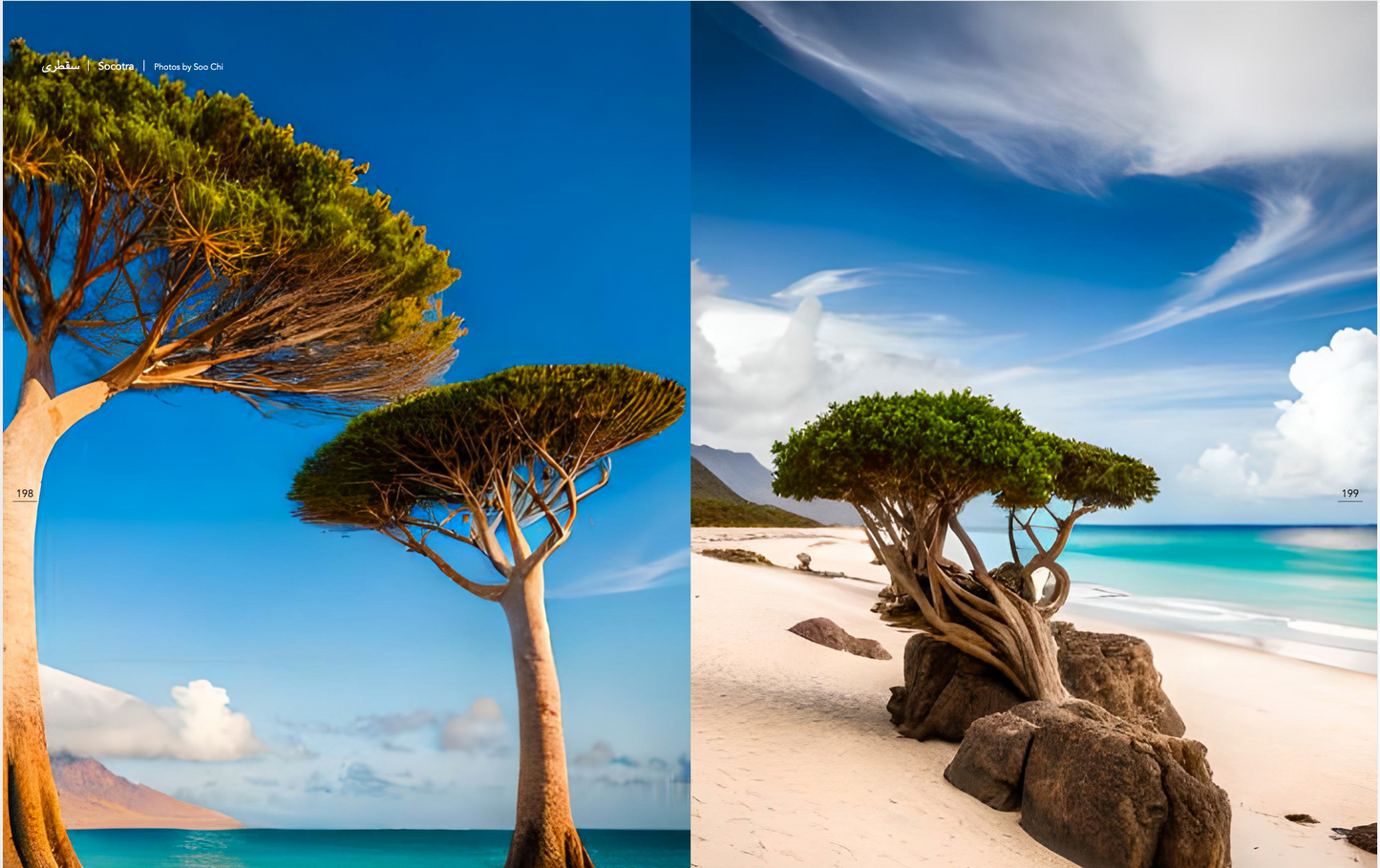 Yemen Book | كتاب اليمن